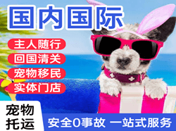 北海机场托运国际宠物托运 【国
